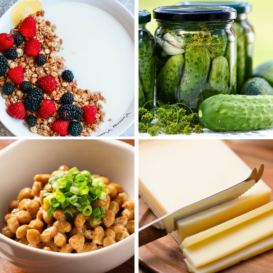 probiotic foods for gut health
