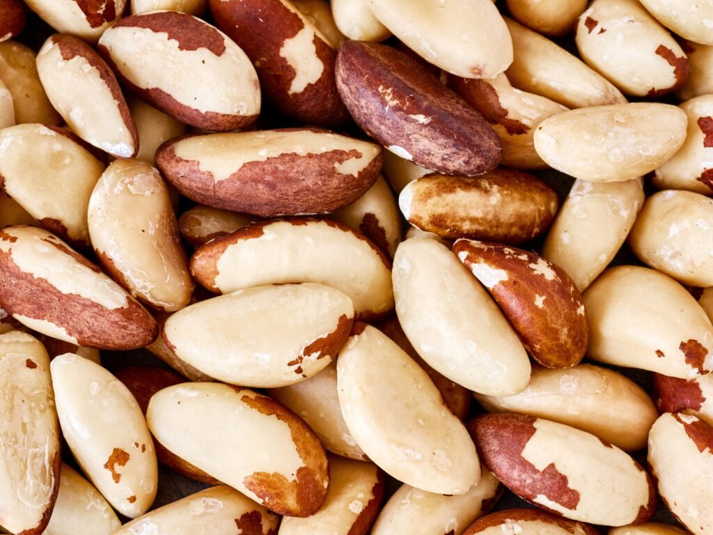 Brazil Nuts