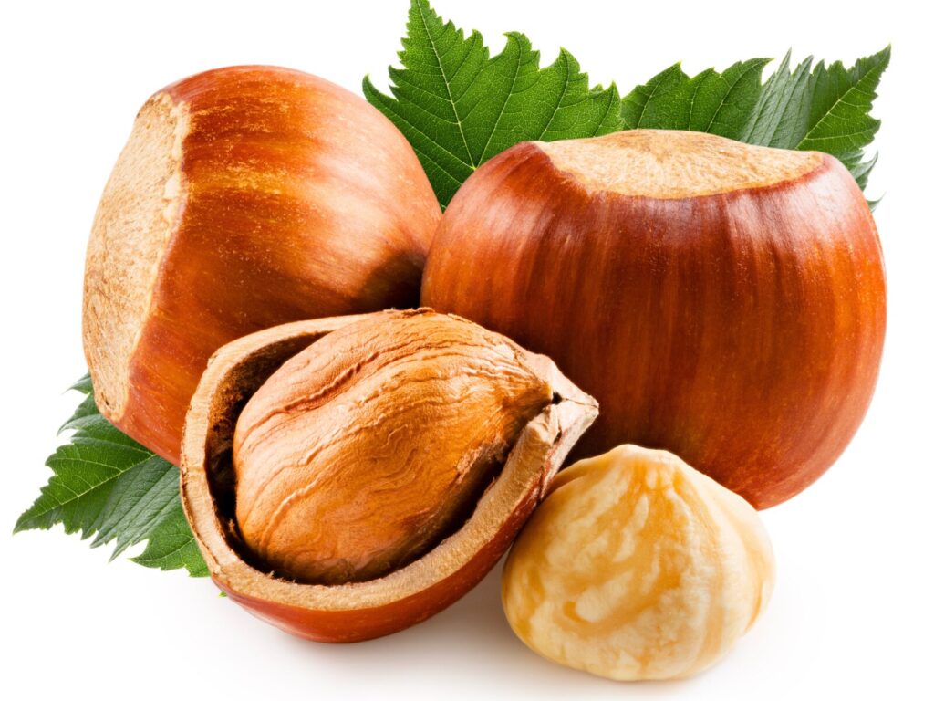 Hazelnuts - nuts to help you poop