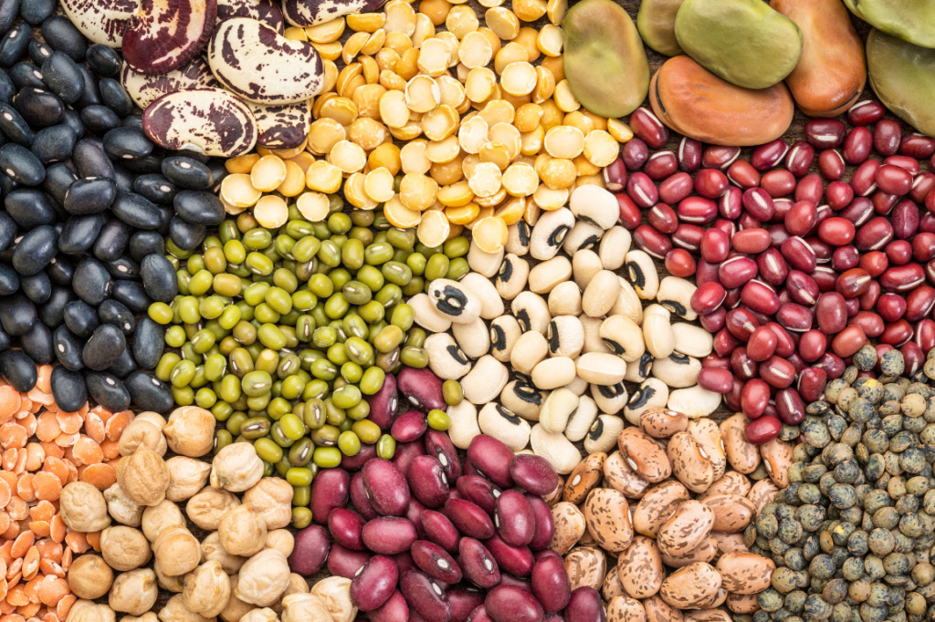 Beans and Lentils